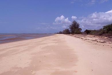 Sandee - Saadani National Park