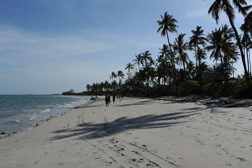 Sandee Saadani National Park Photo