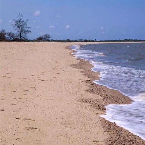 Sandee - Saadani National Park