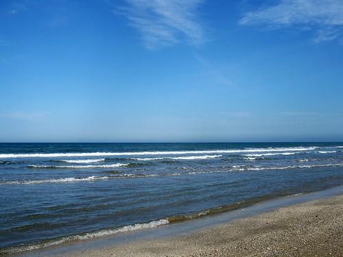Sandee Beach For Dogs In Rimini