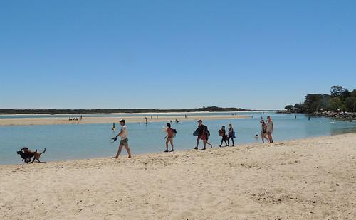 Sandee Doggy Beach