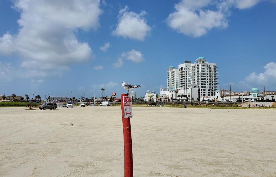 Sandee Stewart Beach Photo