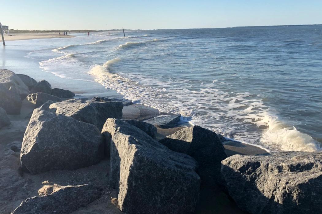 Sandee Tybee Island Polk St.