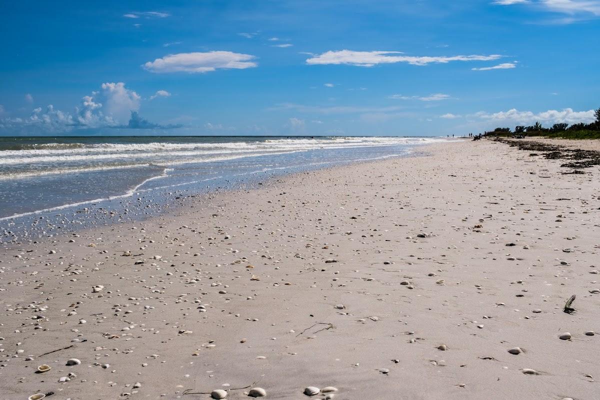 Sandee - Sanibel Island Northern Beach