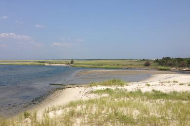 Sandee - Corson's Inlet State Park Beach