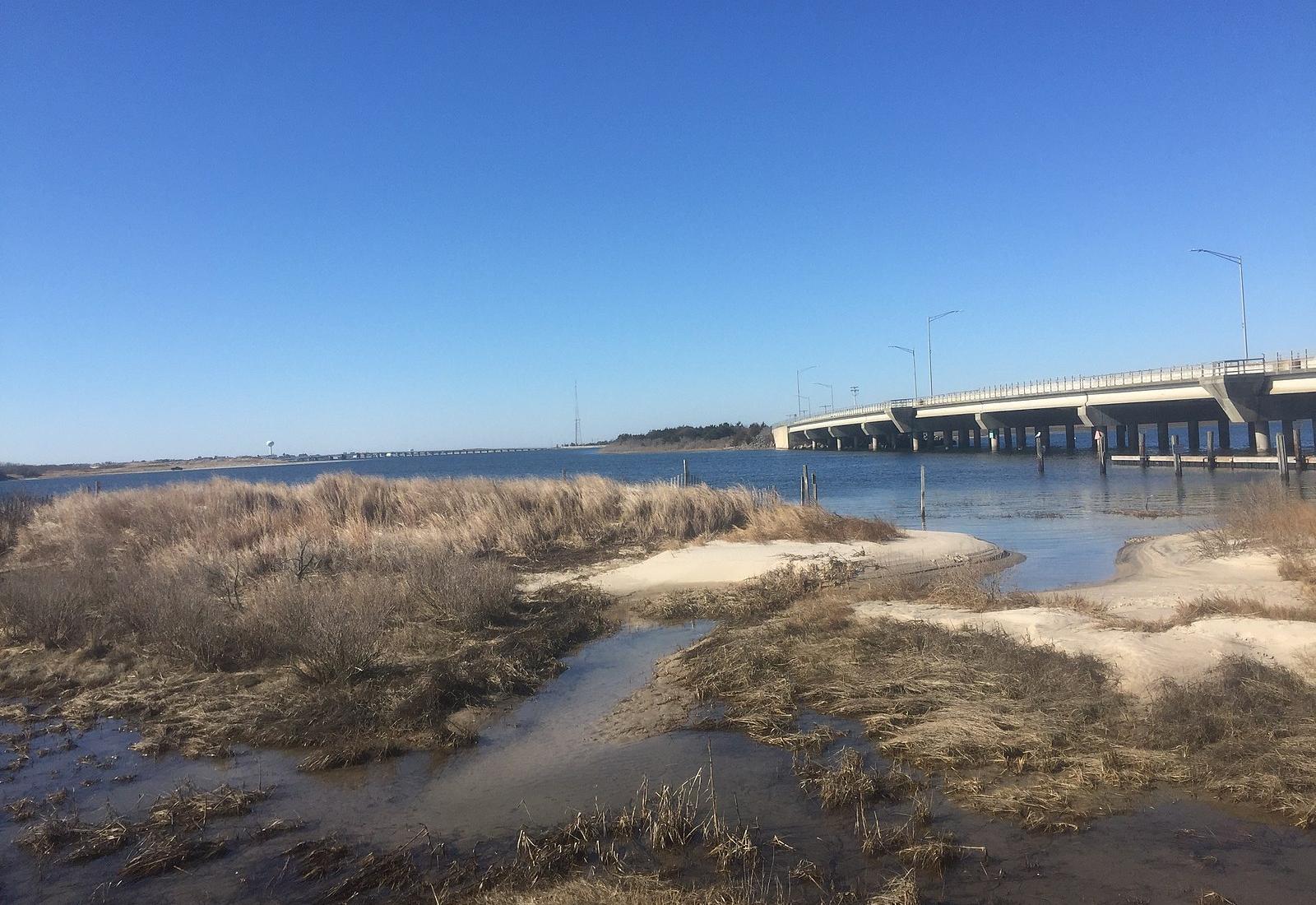 Sandee - Corson's Inlet State Park Beach