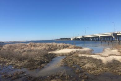 Sandee - Corson's Inlet State Park Beach