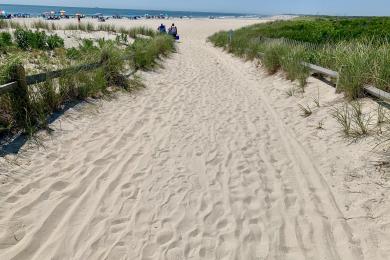 Sandee - Corson's Inlet State Park Beach