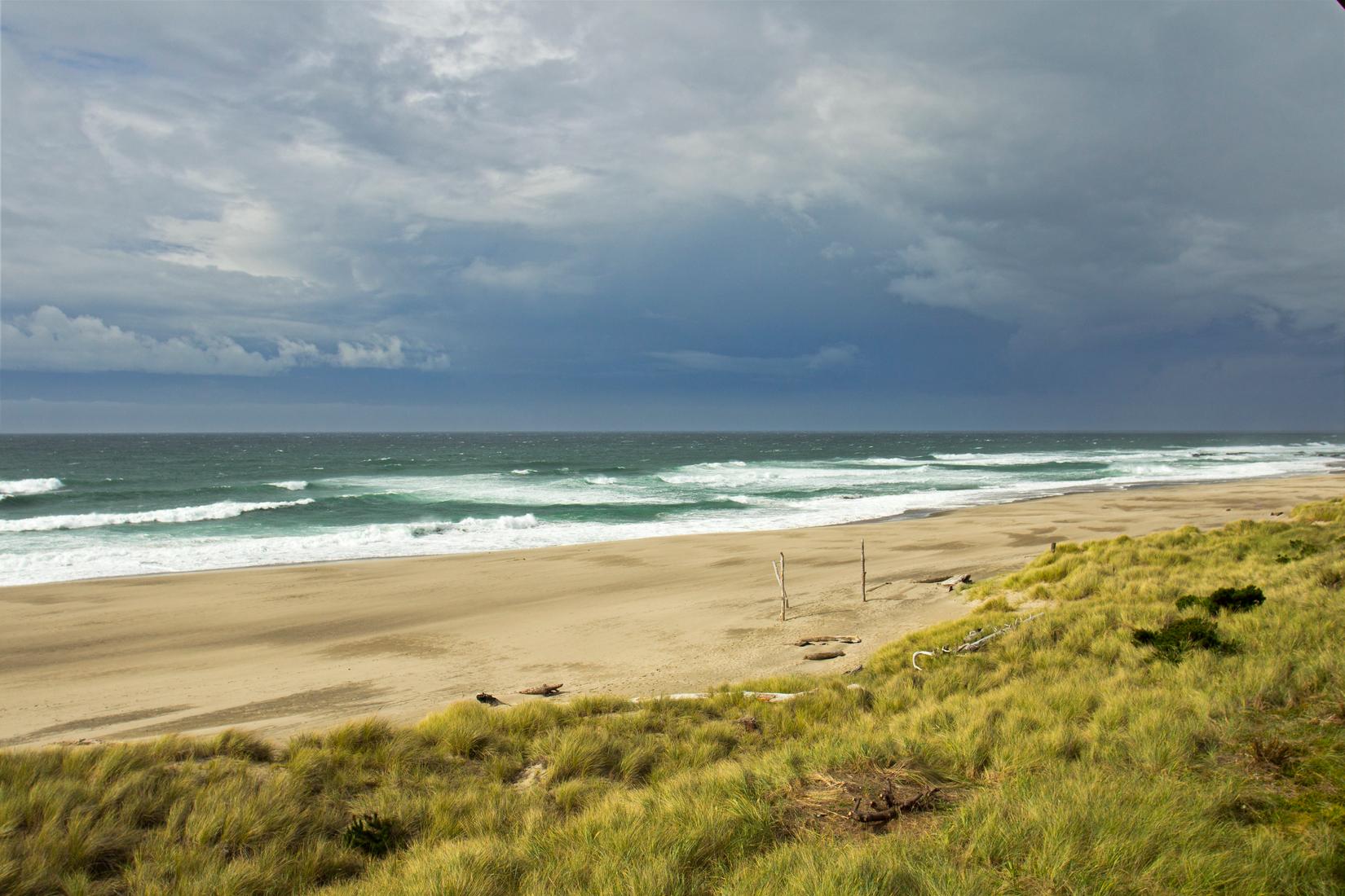 Sandee - Salishan Beach