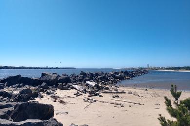 Sandee Florence North Jetty Beach