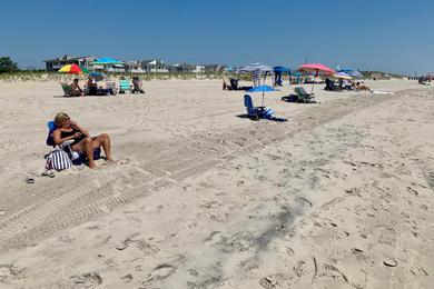 Sandee - Corson's Inlet State Park Beach