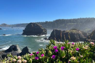 Sandee Otter Point Park Beach Access Photo