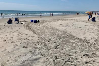 Sandee - Corson's Inlet State Park Beach