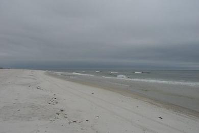 Sandee Gulf State Park Beach Pavilion Photo