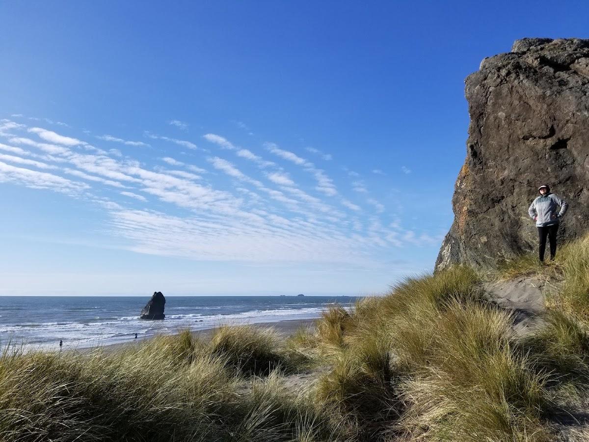 Sandee - Buena Vista Ocean Wayside State Park