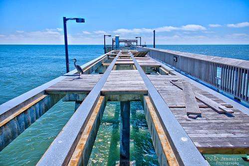 Sandee Gulf State Park