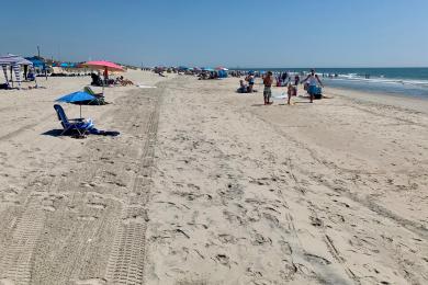 Sandee - Corson's Inlet State Park Beach