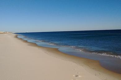 Sandee Beach Break Photo