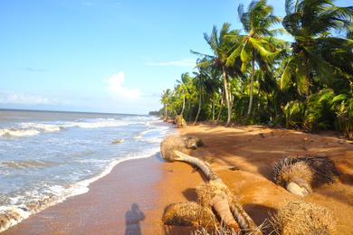 Sandee Shell Beach