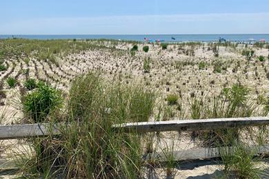 Sandee - Corson's Inlet State Park Beach