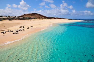 Sandee Ascension Island