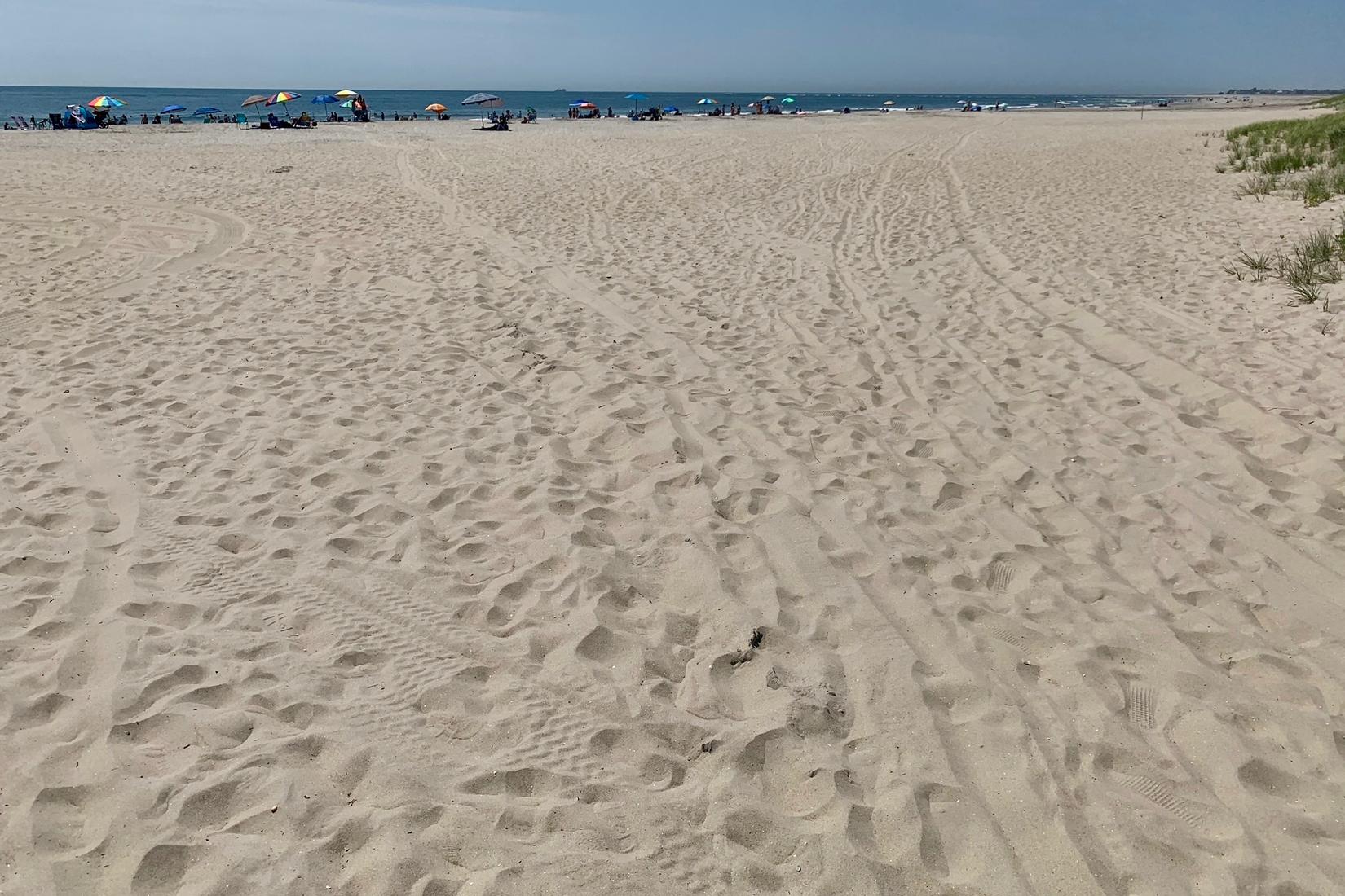 Sandee - Corson's Inlet State Park Beach