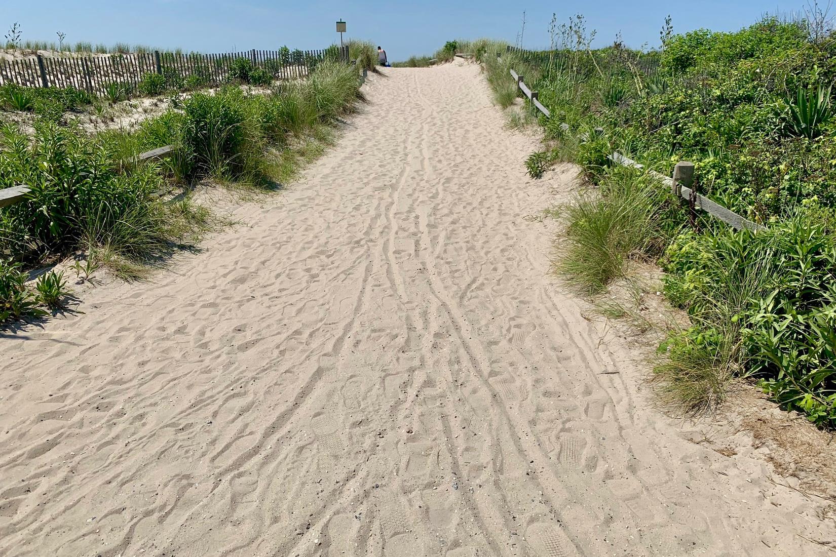 Sandee - Corson's Inlet State Park Beach