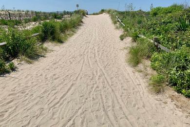 Sandee - Corson's Inlet State Park Beach