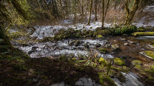 Sandee - Beaver Dam Site Park