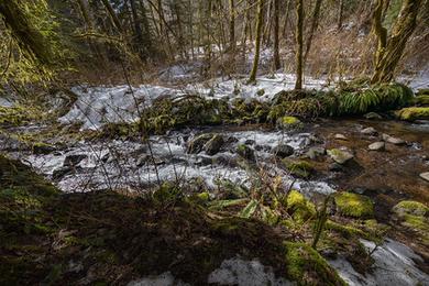 Sandee - Beaver Dam Site Park