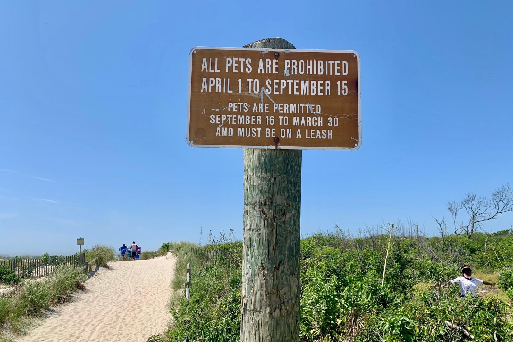 Sandee - Corson's Inlet State Park Beach