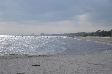 Sandee Biloxi Beach Photo