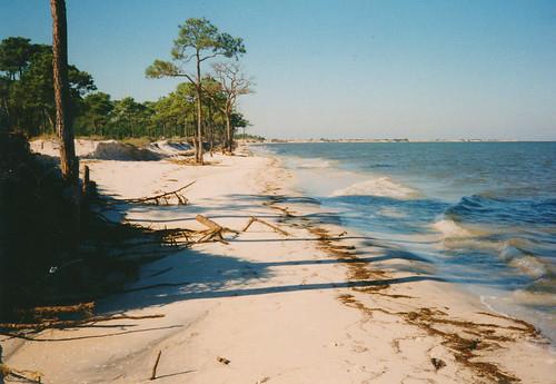 Sandee Horn Island