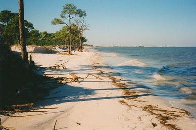 Sandee Horn Island