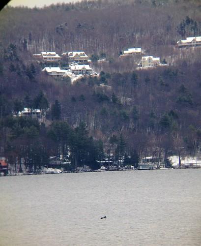 Sandee Lake Sunapee State Beach