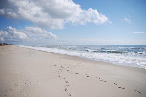 Sandee Oak Island Beach Photo