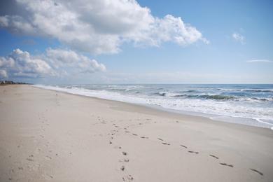 Sandee Oak Island Beach Photo