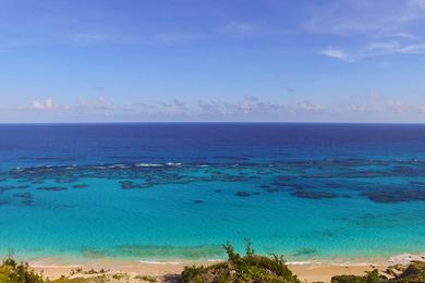 Sandee Paget Island Beach