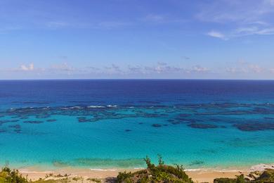 Sandee Paget Island Beach Photo