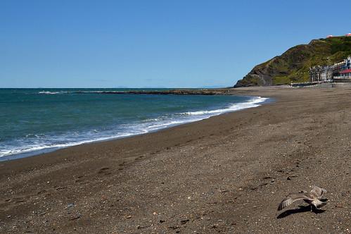 Sandee Wallis Sands Beach Photo