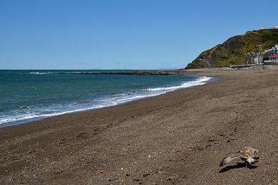 Sandee Wallis Sands Beach Photo