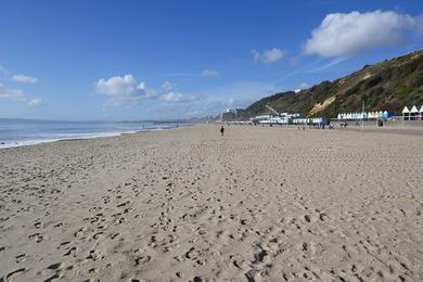 Sandee Jasper Beach Photo