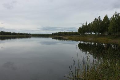 Sandee Chena Lake Photo