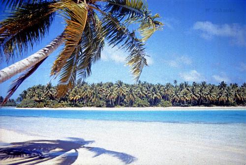 Sandee Manihiki Island Beaches