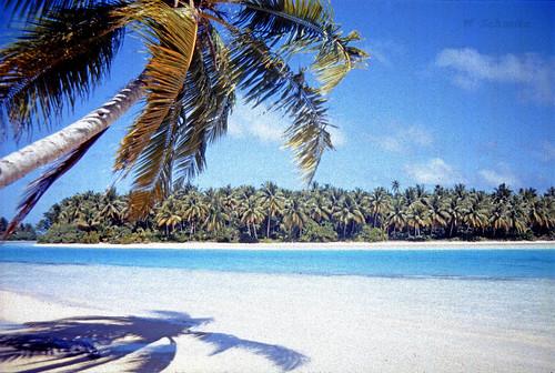 Sandee - Manihiki Island Beaches