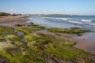 Sandee Seafield Beach