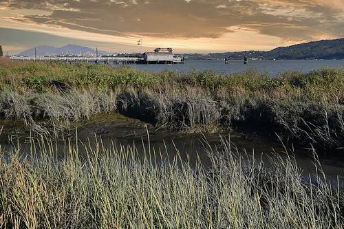 Sandee - Raymond J. Bordoni Public Access Beach