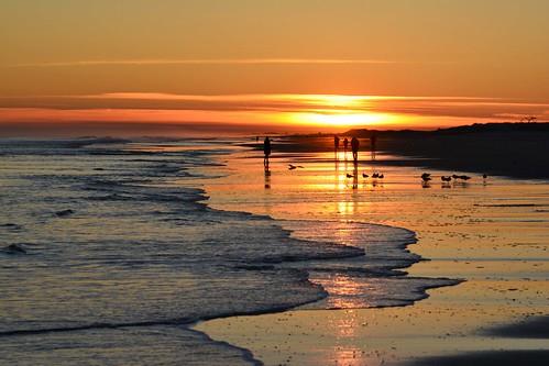 Sandee East Shore Photo