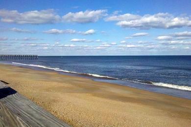 Sandee Kitty Hawk Beach Photo