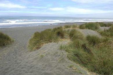 Sandee - Kellogg Beach